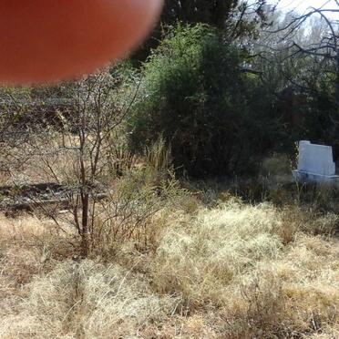 1. Overview inside walled section