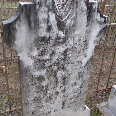 BEAMISH Maud 1874-1878 :: BEAMISH Earnest 1877-1878 :: BEAMISH Francis 1881-1889