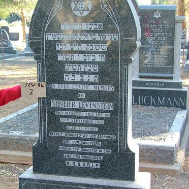 LEVENSTEIN Shneier -1952