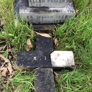 PEGLER Ellen 1828-1899