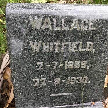 WHITFIELD Wallace 1869-1930