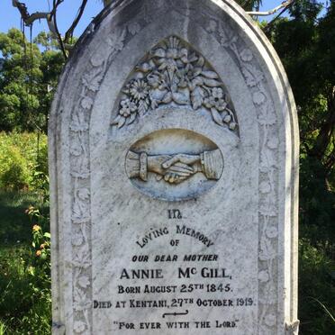MCGILL Annie 1845-1919