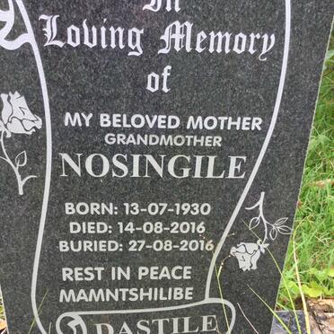DASTILE Nosingile 1930-2016
