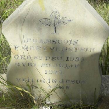 GREYVENSTEIN Francois F. 1936-1937