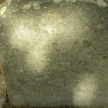 HEERDEN Willem Johannes, van 1871-1939