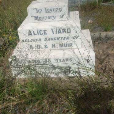 MUIR Alice Ward