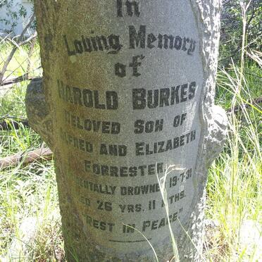 FORRESTER Harold Burkes -1931