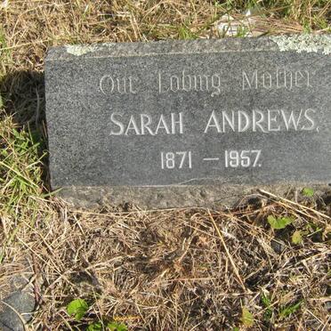 ANDREWS Sarah 1871-1957