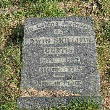 CURTIS Edwin Shillitoe 1872-1953