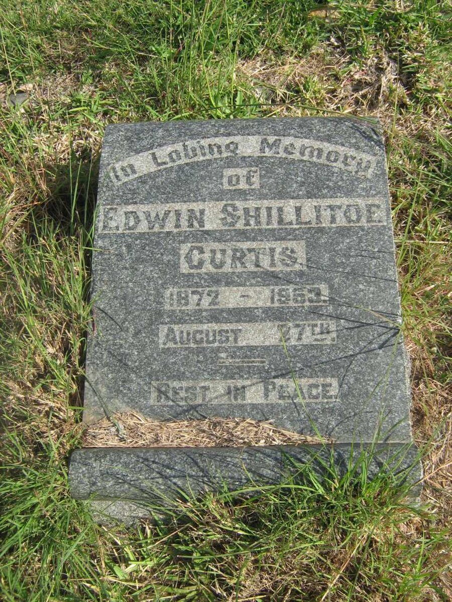 CURTIS Edwin Shillitoe 1872-1953