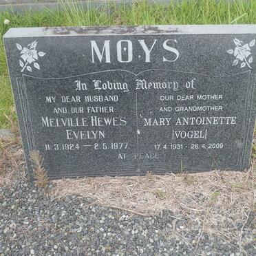 MOYS Melville Hewes Evelyn 1924-1977 &amp; Mary Antoinette VOGEL 1931-2009