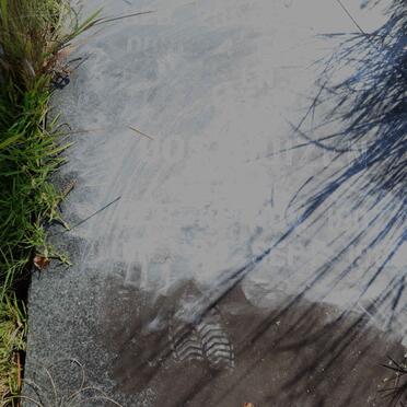 OOSTHUIZEN ? 19?-19?9 &amp; Ada 1907-198?