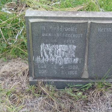 WET Adriaan Cornelius Botha, de 1906-1966