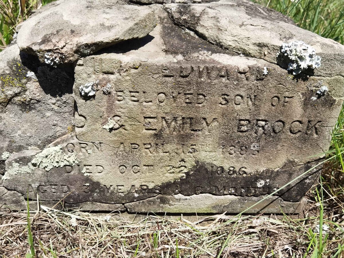 BROCK ? Edward 1883-1886