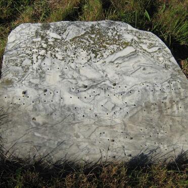 BOKELMANN Hendrick Frederick Robert 1900-1970