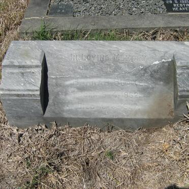 BLAKE Hannah 1862-1937