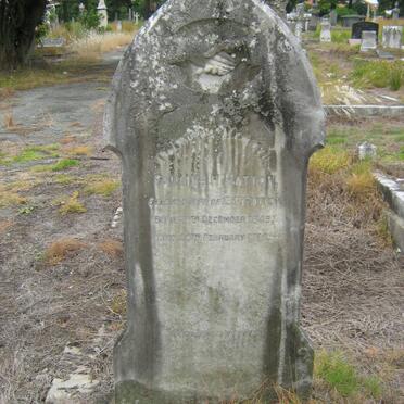 HATTON Pauline H. 1849-1915