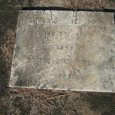HODGES Pamela Jessie 1899-1899