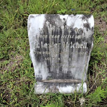 MITCHELL A. Lester -1928