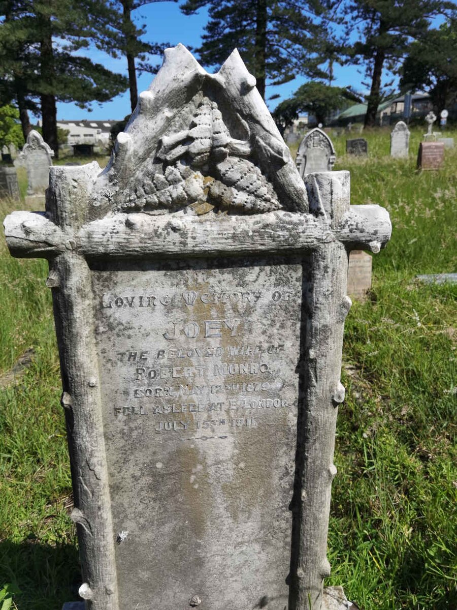 MUNRO Joey 1829-1911