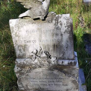 NANNUCCI Enrico Miltiades 1901-1902