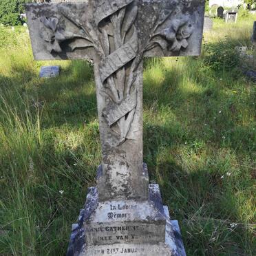 STRONG Annie Catherine nee VAN VUUREN 1872-1904