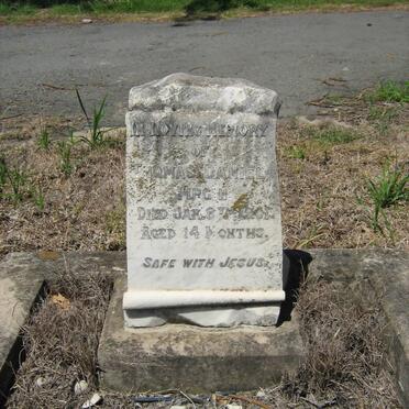 VIRGIN Thomas Daniel -1901