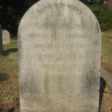 WISE John -1900
