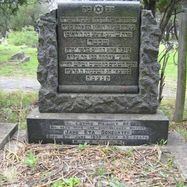 SCHECKTER Jane Eta -1938