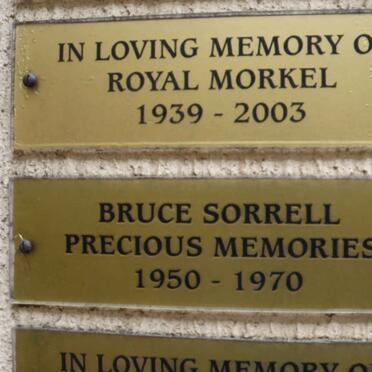 MORKEL Royal 1939-2003 :: SORRELL Bruce 1950-1970