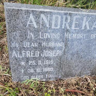 ANDREKA Alfred Joseph 1915-1980