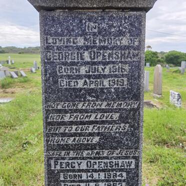 OPENSHAW Percy 1884-1963 :: OPENSHAW George 1916-1919