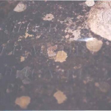 MYBURG J.P. 1821-1901