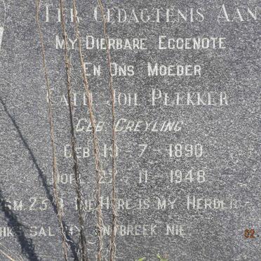 P - Vanne :: Surnames - P