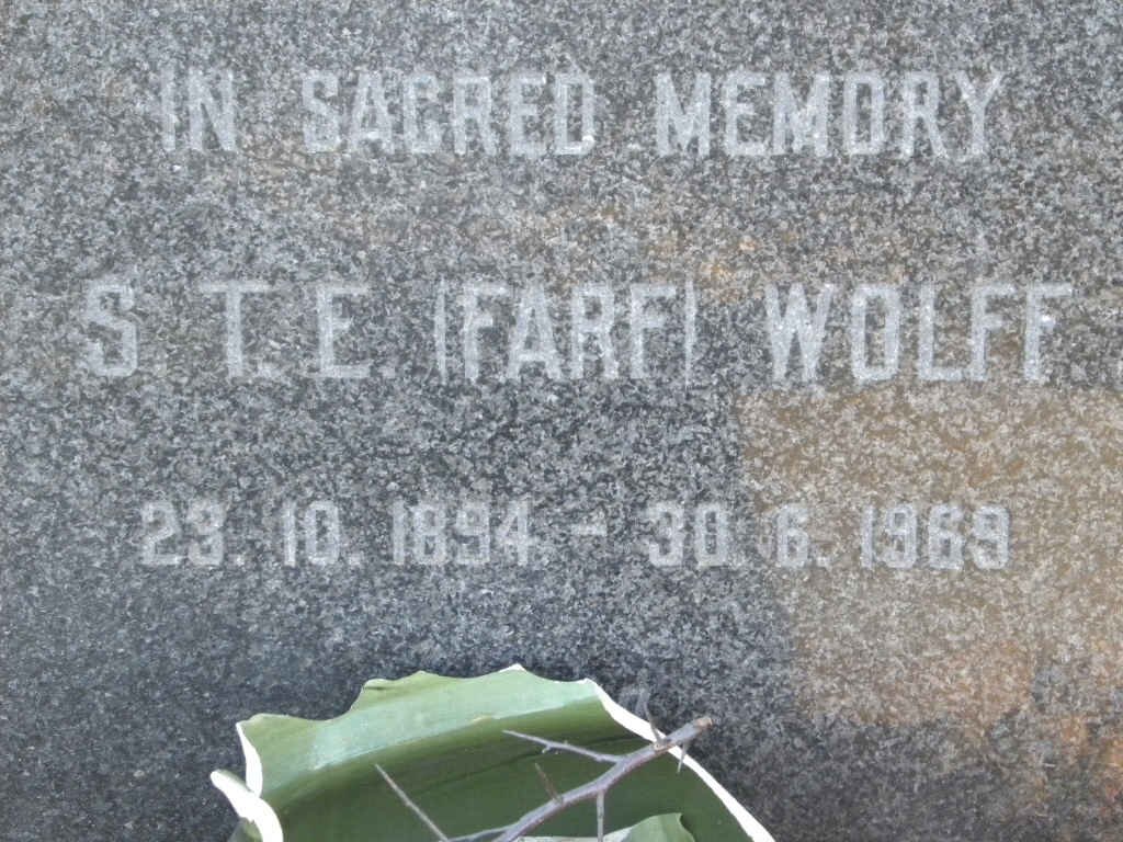 WOLFF S.T.E 1894-1969