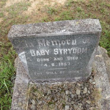 STRYDOM Baby 1957-1957