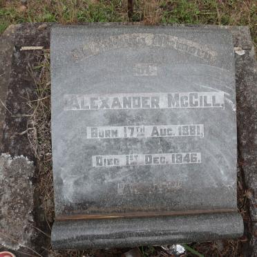 McGILL Alexander 1881-1946