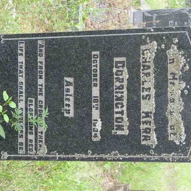 DORRINGTON Charles Kerr -1934