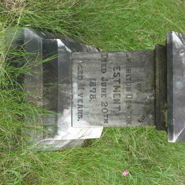 ESTMENT Charlton Denton -1878