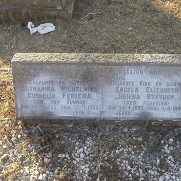 FERREIRA Catharina Wilhelmina Cornelia nee VAN VUUREN 1896-1930 :: STRYDOM Engela Elizabeth Heiena nee FERREIRA 1922-1946