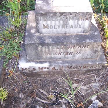 MOLYNEAUX Theresa Maria 1925-1925