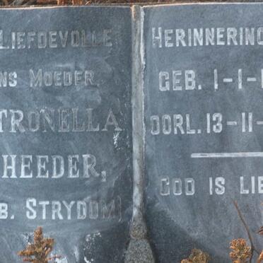RHEEDER Petronella nee STRYDOM 1879-1966