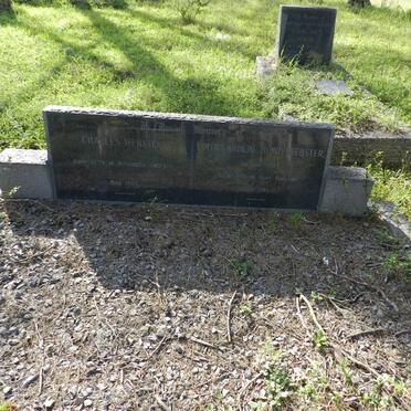 WEBSTER Charles 1879-1965 &amp; Edith Caroline Hendy DODD 1880-1966