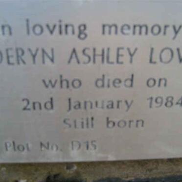 LOVELY Deryn Ashley -1984