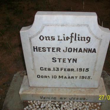 STEYN Hester Johanna 1915-1915