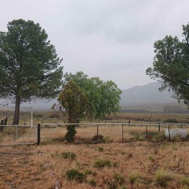 Eastern Cape, GRAAFF-REINET district, Sneeuberge, Farm 65, Blaauwater / Blouwater, farm cemetery