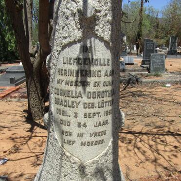 BRADLEY Cornelia Dorothea nee LOTTER -1951