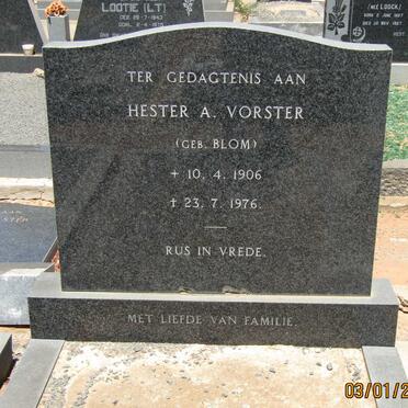 VORSTER Hester A. nee BLOM 1906-1976
