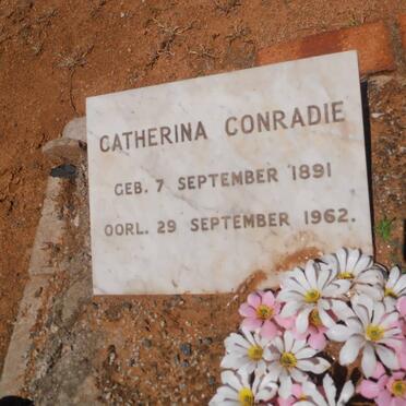 C - Surnames :: Vanne - C