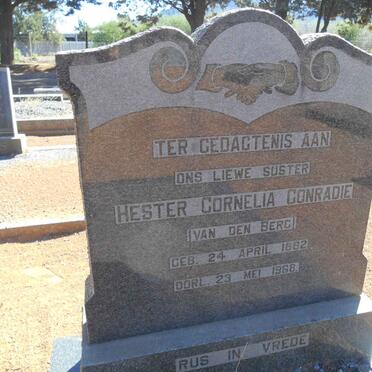 CONRADIE Hester Cornelia nee VAN DEN BERG 1882-1968